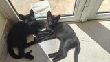 Nighty und Nata (5)